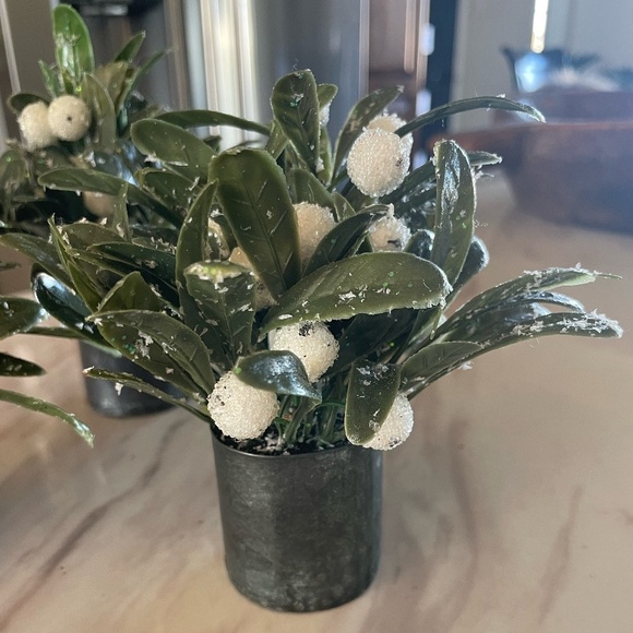 SET OF 3 MINI WINTER BERRY ARRANGEMENTS - Picture 7 of 8